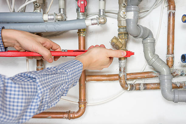 Best Commercial Plumbing Services  in Pinckneyvle, IL